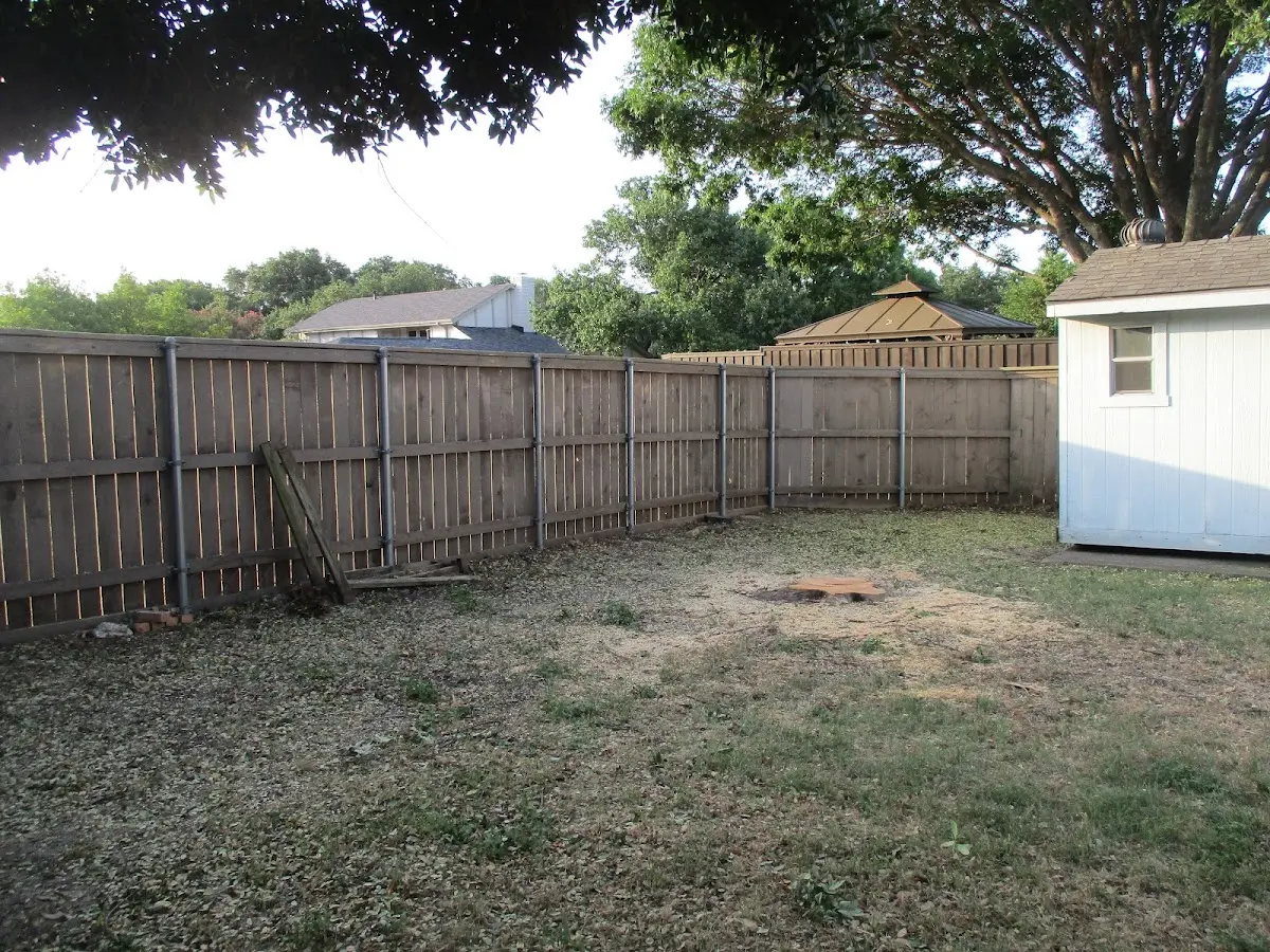 Cleared yard after professional tree removal in Ladson